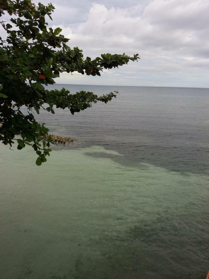 Sascha'S Resort Oslob Luaran gambar